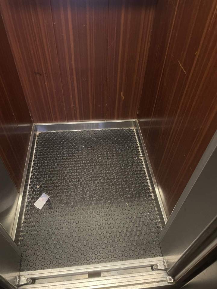 IMG 1038